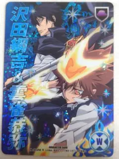 未開封】家庭教師ヒットマンREBORN 沢田綱吉 ツナ Vジャンプ CCG
