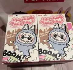 ラブブ エキサイティングマカロン ぬいぐるみ シリーズ 2個セット 未開封