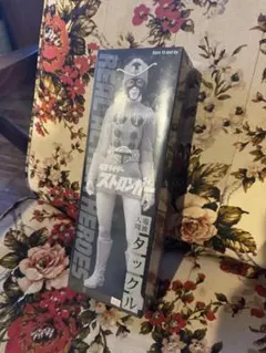 TBL LEAGUE 1/6スケール シームレス素体 PLLB2020-S42A - メルカリ