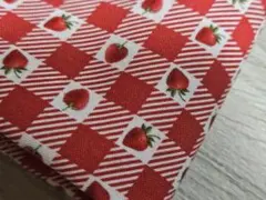 大SALE✨USA fabric タイムレストレジャー いちごギンガム♡