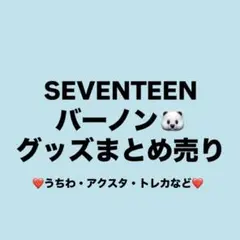 seventeen バーノン グッズ まとめ売り