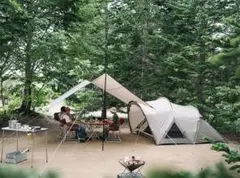 2026年最新】ランドネストドーム mの人気アイテム - メルカリ