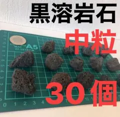 現物 142番】黒溶岩石 アクアリウム テラリウム ビオトープ ろ材