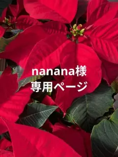 ラボット服　LOVOT　ハンドメイド　nanana様専用ページ