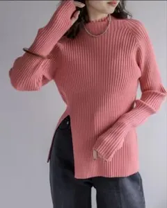 mystic ミスティック/サイドスリットハイネックリブニット