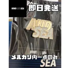 ピンズ wind and sea シークレット ボックス 希少のサムネイル
