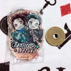 鬼滅の刃 竈門炭治郎 竈門禰豆子 ぴたでふぉめ アクリルスタンド