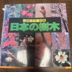 日本の樹木のサムネイル