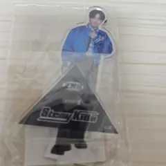 Stray Kids アクリルスタンド チャンビン