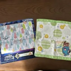 ポケモン　タオルハンカチ　ハンドタオル　セット