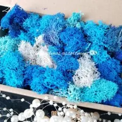 mimiton様 リクエスト 5点 まとめ商品