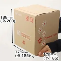 Item thumbnail for item ab7c8e50-d3c5-401c-b99b-bd772b30313f