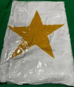 Item thumbnail for item 60b0849d-3443-421e-a48e-7b625f8314b3