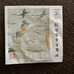 Item thumbnail for item e0ec8c6d-dc1f-4698-9aab-21e6de1c3a1f