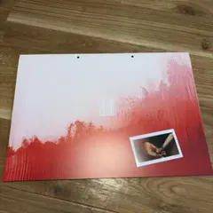 THE FALL / 落下の王国　パンフレット