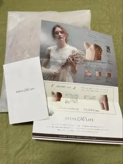 DRESS The LIFE ブライダルインナーセット DRESS The LIFE ショートビスチェ D80 ブラ 補正 下着