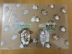 yamayoshi わさビーフ クリアファイル 2枚セット