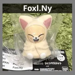 アイエン フォクシニー Foxl.Ny スキズ SKZOO ライトマスコッ