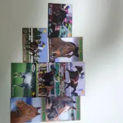 サラブレッドカード　トウカイテイオー　ミホノブルボン　フジキセキ　エアグルーヴ