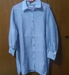 【美品】テチチ　シアーシャツ　ブルーのサムネイル