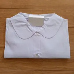 Item thumbnail for item 17eb1628-fdb2-431f-9e7d-e2cd84879c8f