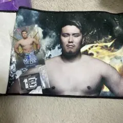 Item thumbnail for item 289edaaf-a5fd-4755-bb2d-0667ffe2d3f6