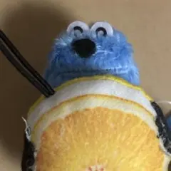 パペットスンスン フルーツマスコット