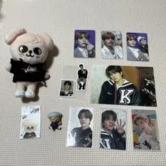 スキズ skzoo puppyM パピム ぬいぐるみ　ミニぬい　トレカ スンミン