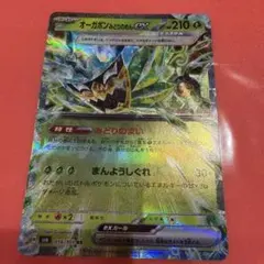 オーガポン みどりのめんex SAR SV6 変幻の仮面 125/101