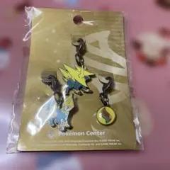 リザードン　チャーム　ポケモンセンター　ポケモン Pokemon（ポケモン） ポケモンセンター オリジナル メタルキーホルダー