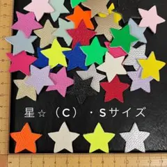本革　星（C）　Sサイズ　アソート・カラーミックス　２５枚セット