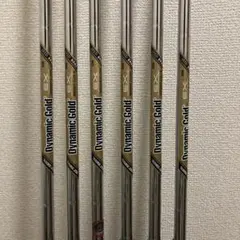 2025年最新】ダイナミックゴールド ツアーイシューの人気アイテム