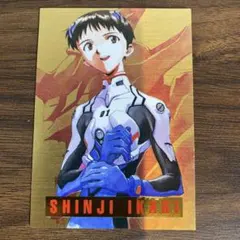 新世紀エヴァンゲリオンEVANGELION カードダスマスターズⅠ 碇シンジ