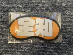 全知　アイマスク　ブルアカ　ヒマリ