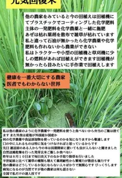 何でも食べない！７年産コシヒカリ 発芽用玄米10kg 特別栽培① 無農薬のサムネイル