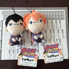 ［ジャンプフェスタ先行]ハイキュー　もちぴこ　影山、日向