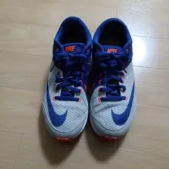Nike ランニングシューズ グレー/ブルー