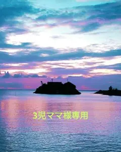 3児ママ様専用
