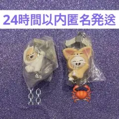 skzoo つまんでつなげてマスコット ジニレット フォクシニ