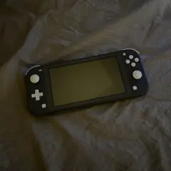 Switch Lite グレー 本体のみ 動作確認済み