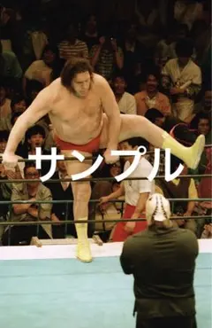 Item thumbnail for item 34be2c6a-ff4e-4c19-a6d8-b8d8a0574a01