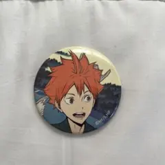 ハイキュー‼︎ 日向翔陽缶バッジ