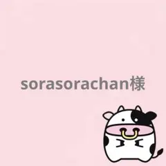 sorasorachan様 リクエスト 4点 まとめ商品