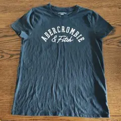 Abercrombie & Fitch アバクロ 半袖Tシャツ ネイビー
