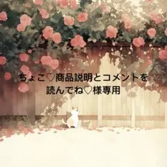 ちょこ♡商品説明とコメントを読んでね♡ 様　専用
