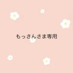 もっさん様 リクエスト 2点 まとめ商品