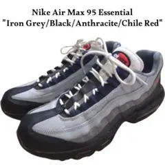 NIKE AIR MAX 95 グレー×ブラック エアマックス ナイキ