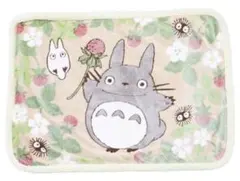 新品タグ付き✦ ꙳トトロ柄ブランケット