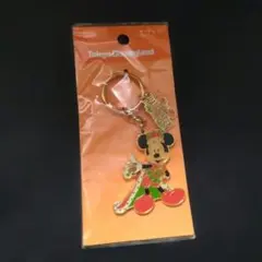 TOKYODISNEYLAND 　東京ディズニーランド　ハロウィン　キーホルダー