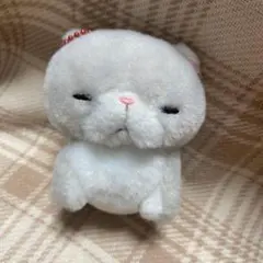 ちんまりマンチカン　ひみこ